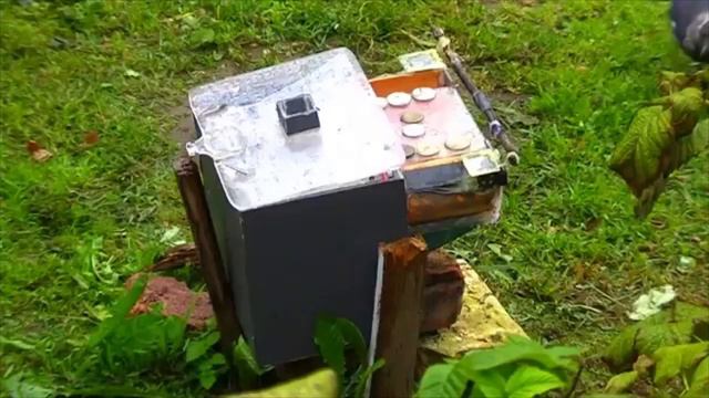 Стадии обучения ворон смотреть онлайн