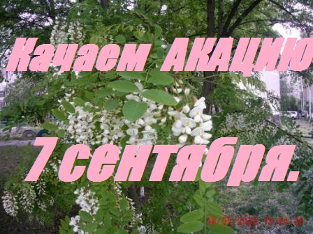 7 сентября качаем мёд белой акации.Сохранить сушь от восковой моли. смотреть онлайн
