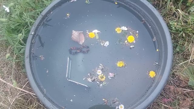 Чистка в потоке.