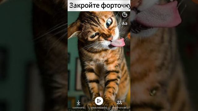 Как сделать мем! [В вк] смотреть онлайн