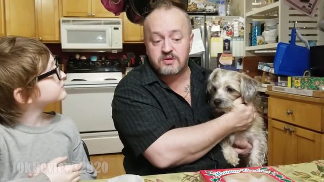 Review of a dog who will eat your face if things go south смотреть онлайн