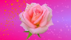 Футаж. Цветочный фон 171