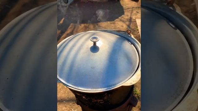 Виртуоз Гастрономии