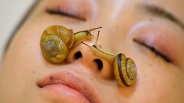 Разведение гигантских улиток Ахатин как бизнес идея смотреть онлайн