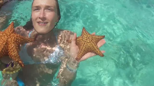 Морская звёзда Карибского моря смотреть онлайн