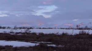 Охота на Чукотке весной на гуся