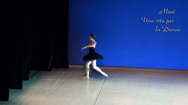 "KONSERVATORIJ ZA GLASBO IN BALET LJUBLJANA" смотреть онлайн