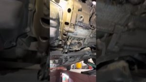 Школа Октавия на диагностику Течи масла