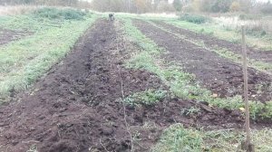 Вспашка огорода мотолебедкой и самодельным плугом.