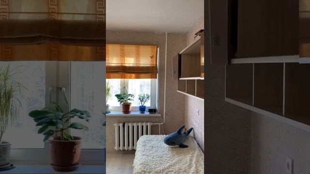 Продается двухкомнатная квартира в районе ТРЦ Солнечный в Тюмени смотреть онлайн