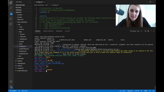 A QUICK INTRODUCTION TO RASA: CHATBOTS FROM THE COMMAND LINE смотреть онлайн