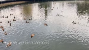 Отец поневоле. Детективный рассказ