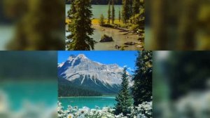 Тибетская мантра Шурангам от всех болезней.