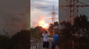 Во Владивостоке дерево упало на ЛЭП 110 кВ
