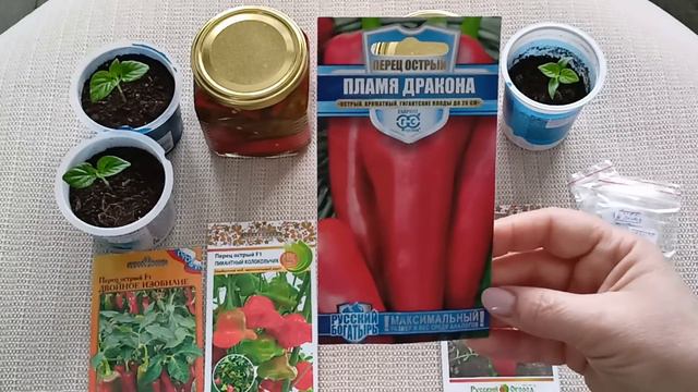 Мои планы посева семян на февраль.м-н ДАЧА г.Каменск-Уральский.06.02.2024 г. смотреть онлайн