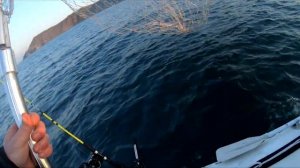 Троллинг на симу в Приморском крае, Находка.Троллинг 2021.