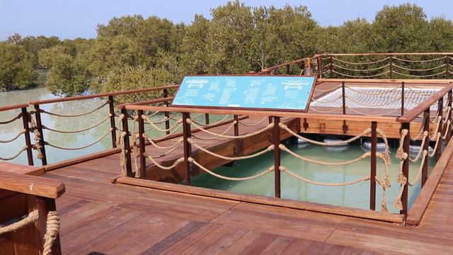 Jubail Mangrove Park l حديقة الجبيل مانجروف - أبوظبي l 주 베일 맹그로브 공원 l Parque de manglares Jubail смотреть онлайн
