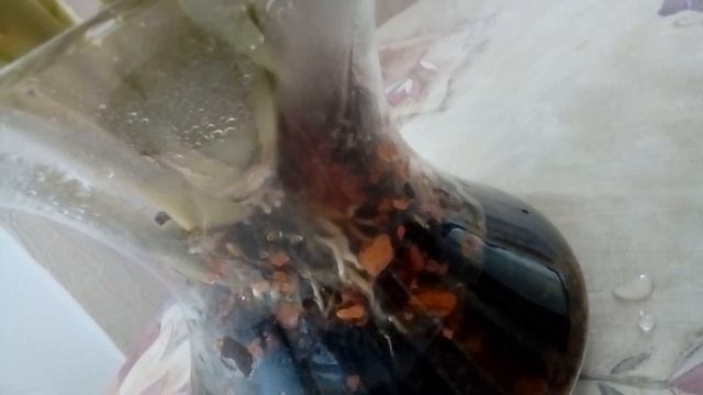 Мильтониопсис Полив и содержание в вазе в стекле смотреть онлайн