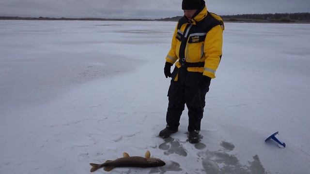 Рыбалка в п Борок смотреть онлайн