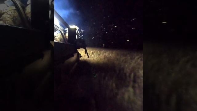 Farmer Takes Extreme Measures to Deal with Hog Problem смотреть онлайн
