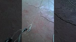 перемет на сома