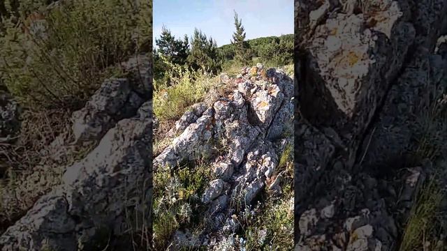 склончик горный смотреть онлайн