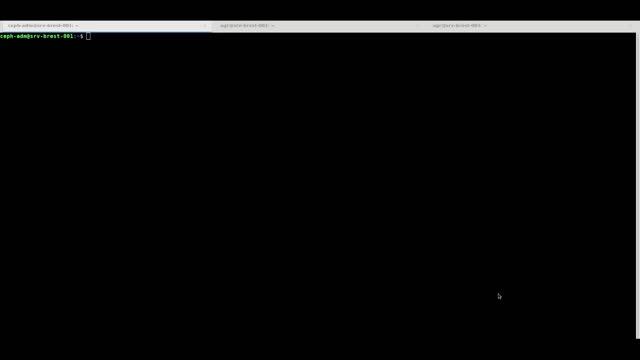 Добавление хранилища Ceph в ПК СВ «Брест» 3.2 смотреть онлайн