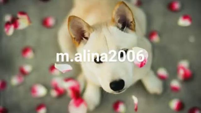 Лайк так написано 😁 смотреть онлайн