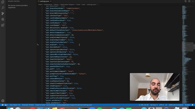VS Code Setting: git.enabled смотреть онлайн