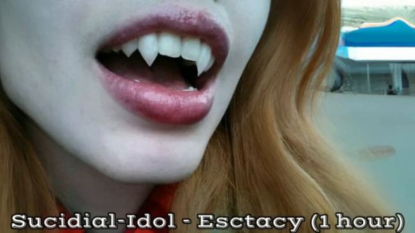 Sucidal-Idol - Ecstacy [1 HOUR] [PERFECT LOOP] (SLOWED) [TIKTOK]