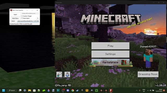 IRIS Hacked Client 1.20.10 INVALID FILE PATH FIX - Crash Issues смотреть онлайн