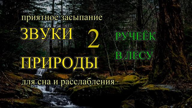 А.Звуки природы. Ручеёк в лесу. Звуки для сна и релакса#naturesounds#relaxingsounds#relaxing