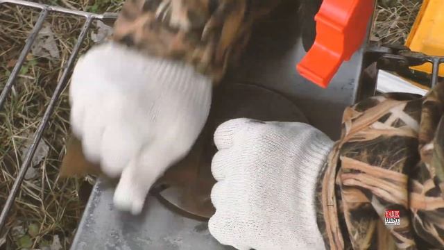 ?Набор абразивных губок Winnerwell® для чистки посуды/ножей/печей/сковород/кастрюль из нержавеки смотреть онлайн