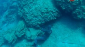 Подводная морская охота