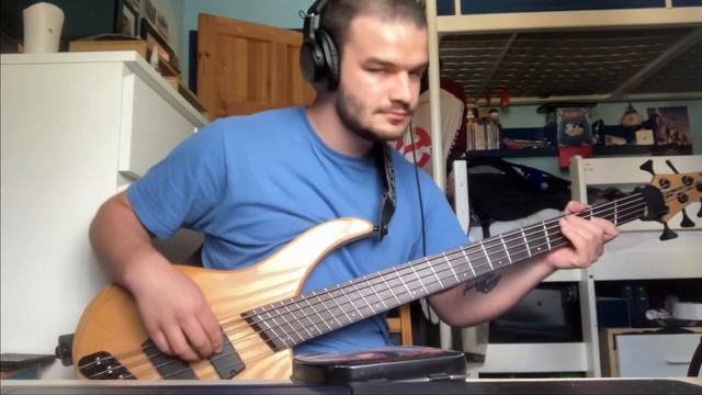 Plini: Every Piece Matters/Bass Cover смотреть онлайн
