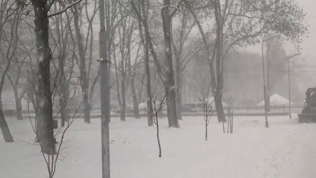 У зимы предновогодние капризы. Три дня в конце декабря. В обнимку с природой. смотреть онлайн