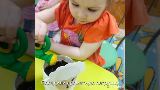 2 19.04 Slideshow_270_20240421_qV6mWr