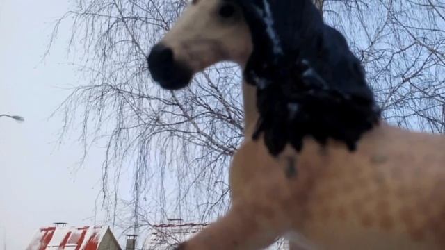 Красивые фото лошадей на природе смотреть онлайн