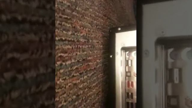 The Shadow Machine смотреть онлайн