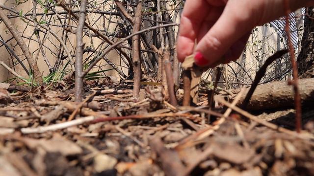 Chapter 2. I Can Feel Safe By Anchoring To Myself