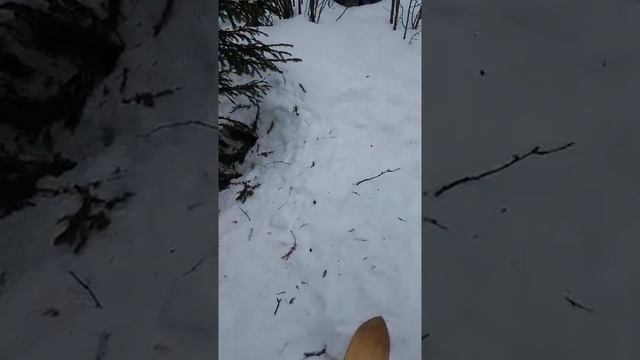 28 февраля 2020 г..mp4