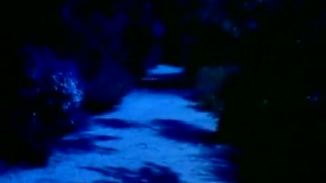 Blondie - Island Of Lost Souls смотреть онлайн