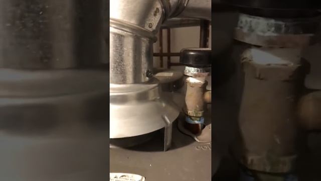 Abandoned Walmart flue to chimney clogged смотреть онлайн