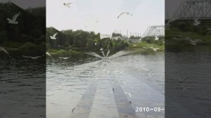 ярославль прогулка на катере