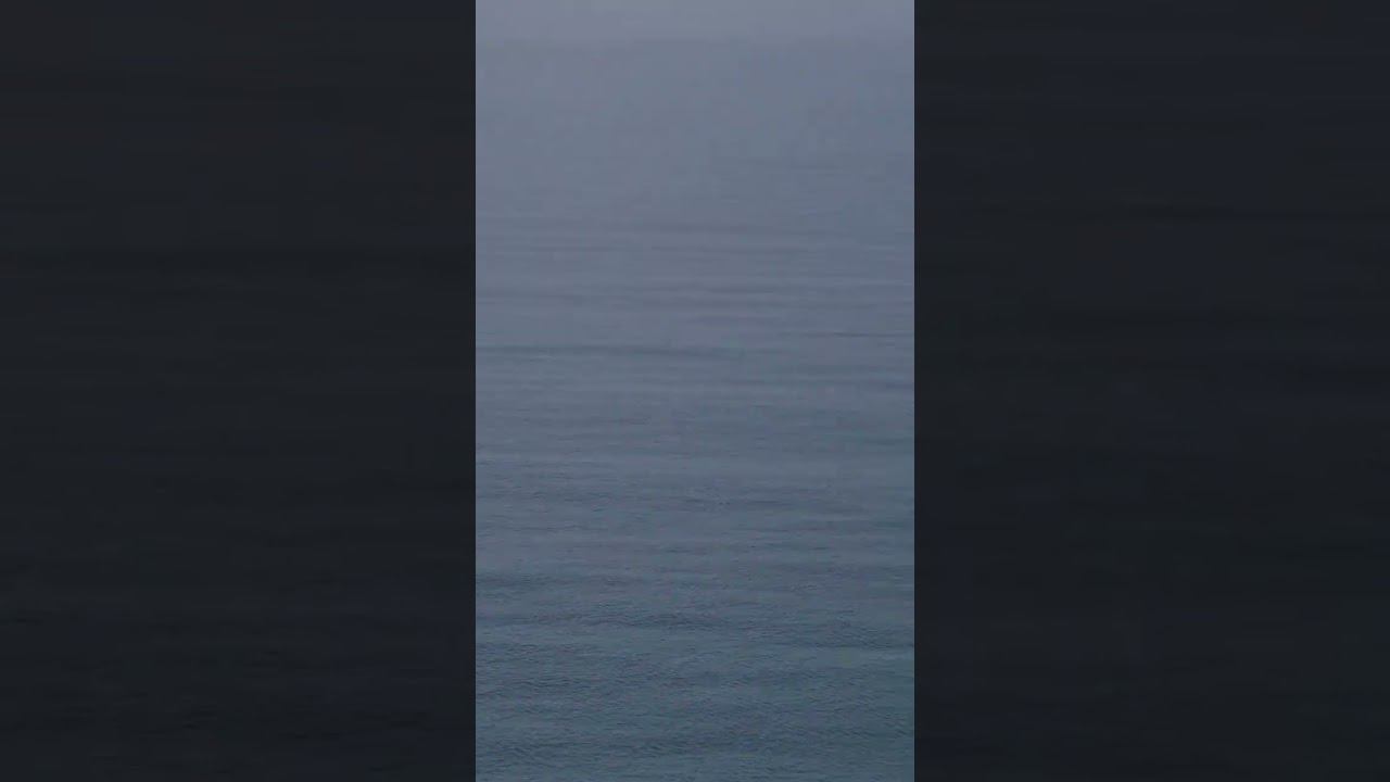 03.03.23 г. Утреннее море. Спокойное и чистое. Шикарной пятницы, друзья! #погодалазаревское #сочи смотреть онлайн