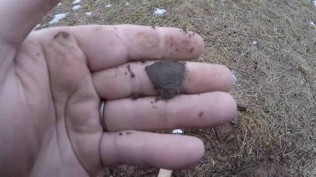 ПОИСК С МЕТАЛЛОИСКАТЕЛЕМ НА ФУТБОЛЬНОМ ПОЛЕ SEARCH WITH A METAL DETECTOR ON A FOOTBALL FIELD смотреть онлайн