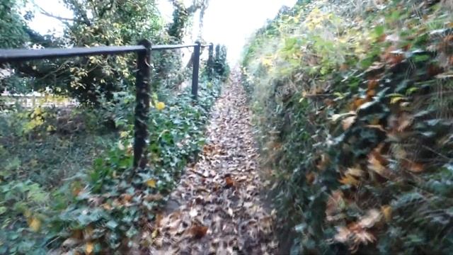 Canon SX740 HS Zoom ( 118 m, 1120 m, 2.574 m, 29.8 km + Hold ) смотреть онлайн