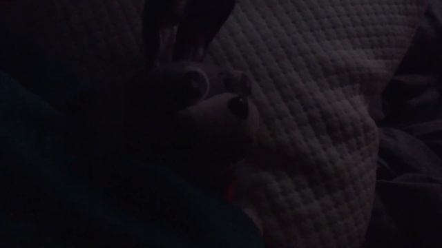 Gw Movie- Into the Pit смотреть онлайн