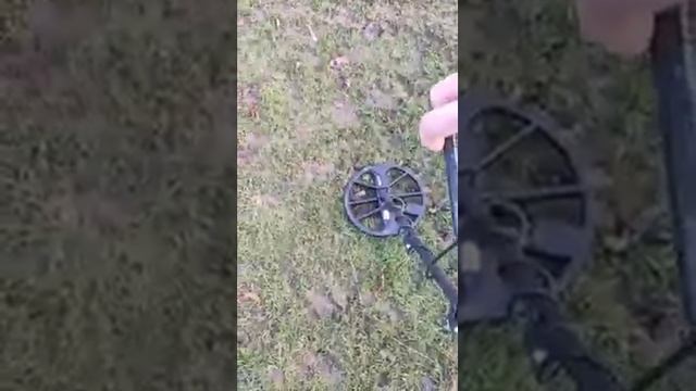 MINELAB Manticore Vs Minelab CTX 3030 Vs Minelab Equinox 800 | 900 Equinox Detecting