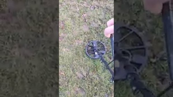 MINELAB Manticore vs Minelab CTX 3030 Vs Minelab Equinox 800 | 900 equinox Detecting